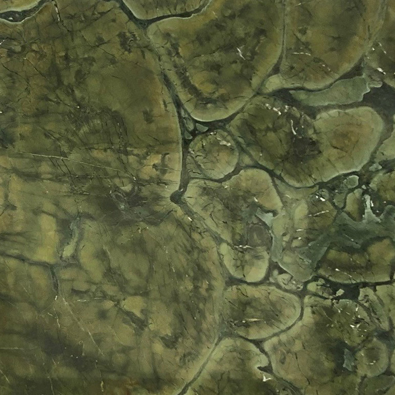 Green Victoria