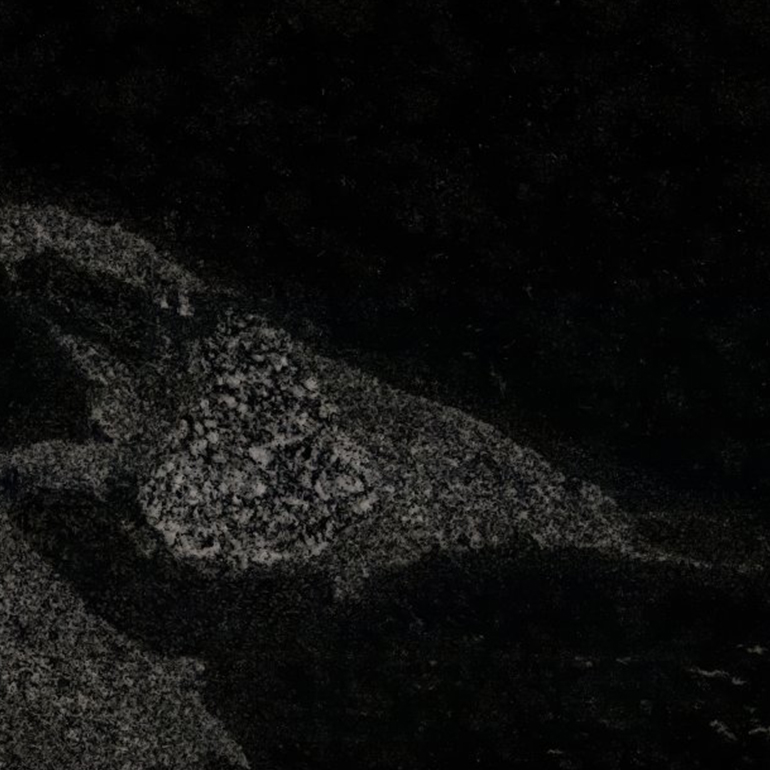 Jurassic Black